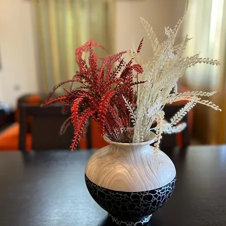 Gogo Διαμέρισμα Αργυρόκαστρο